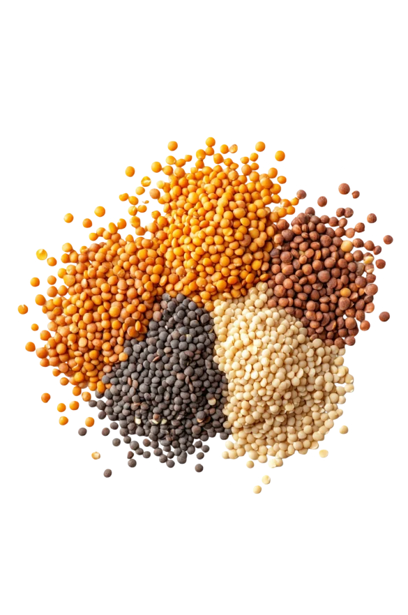 Clean Proteins