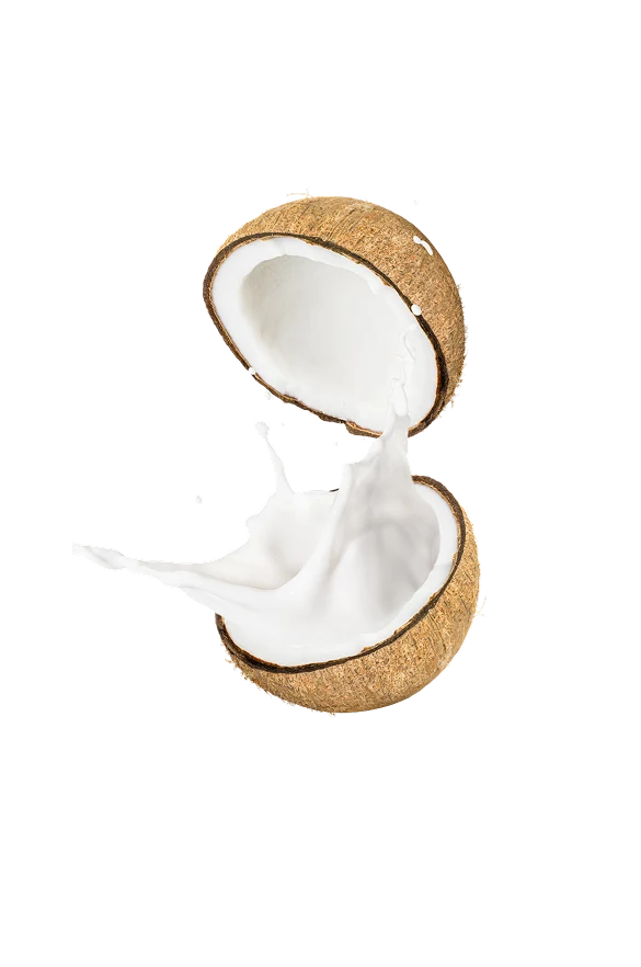 Coconut milk