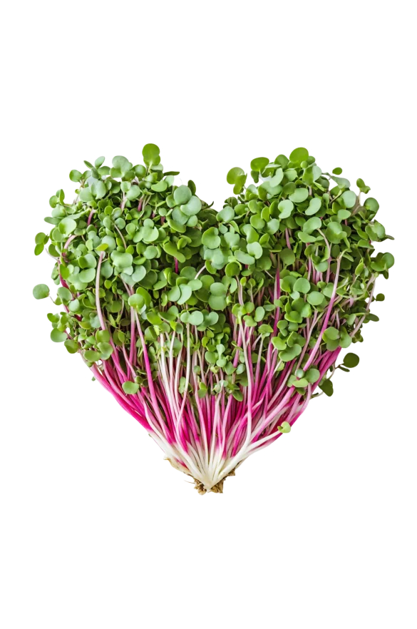 Functional Veggies