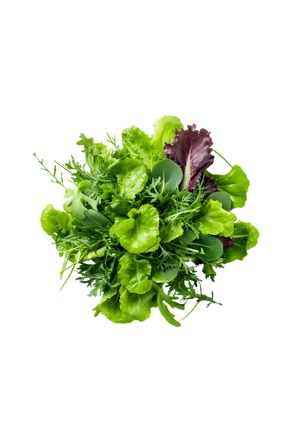 Leafy Greens