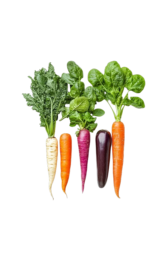 Root Veggies